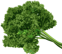 Parsley (30-Bunch)
