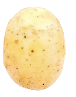 Potato (Yellow) (Box)