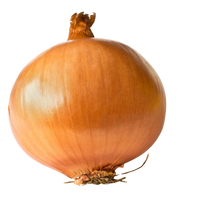 Onion (Yellow) (Box)