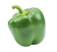 Green Pepper (Box)